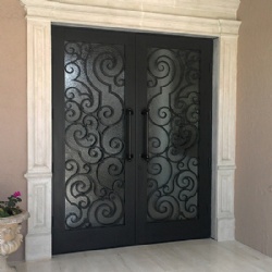 Modern Decorative Wrought Iron Security Doors