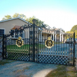 European NobilityUE  Style Wrought Iron Gate