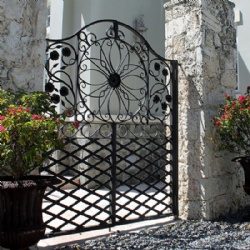 Antique Old Wrought Iron Gates